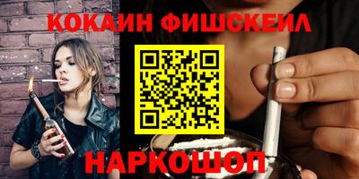 крисы Можга