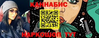 крисы Можга