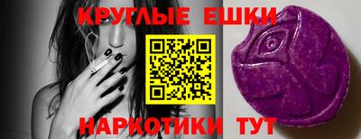 крисы Можга