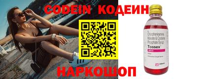 крисы Можга