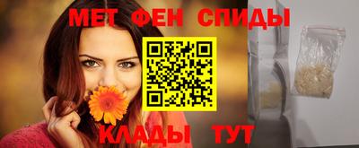 крисы Можга