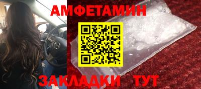 крисы Можга