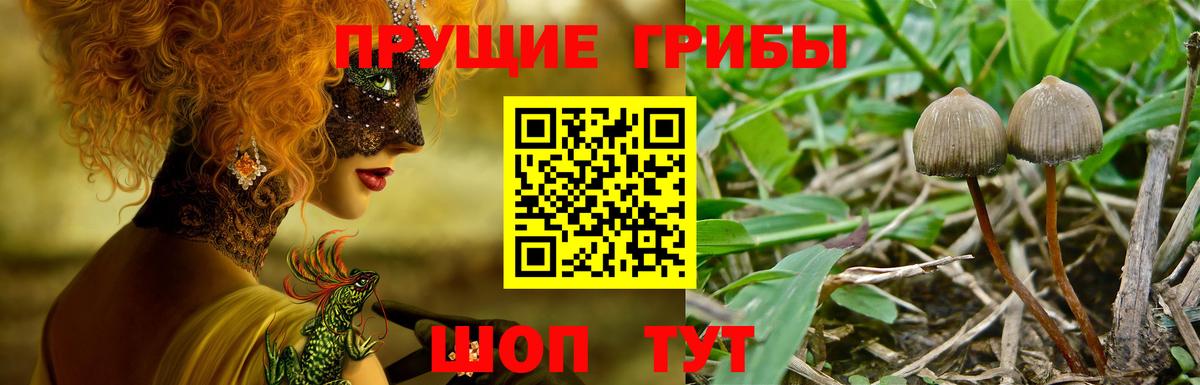 Галлюциногенные грибы Magic Shrooms Шелехов