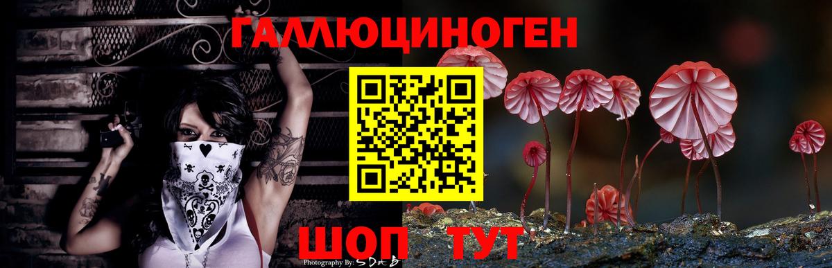 Галлюциногенные грибы мицелий  Вход с VPN  Шелехов 
